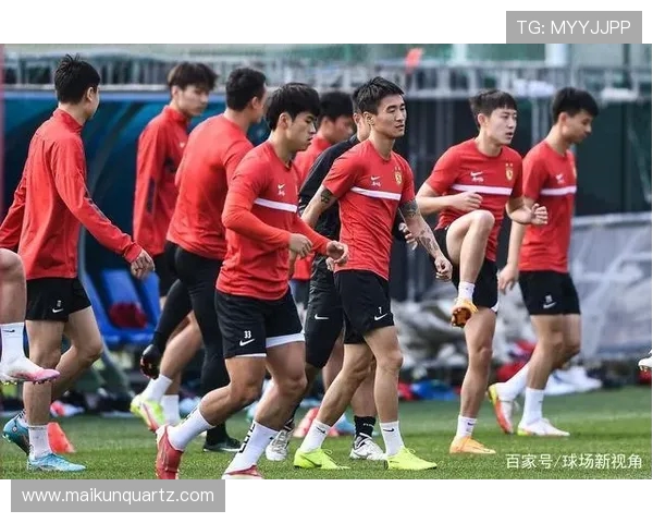 广州排球队心理素质引发热议球迷与专家的不同看法与分析