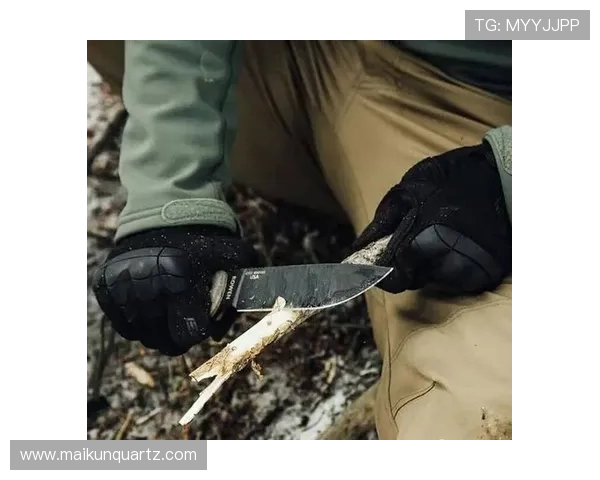 武汉极限运动队战术深度解析与对比研究