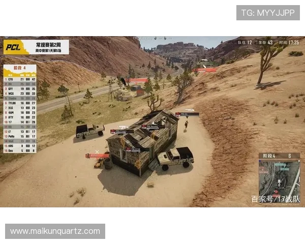 Natus Vincere绝地求生战队崛起之路与赛事表现分析