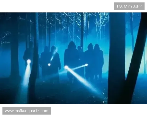 吉布森的传奇人生与艺术成就探秘：从电影到文学的跨界之旅